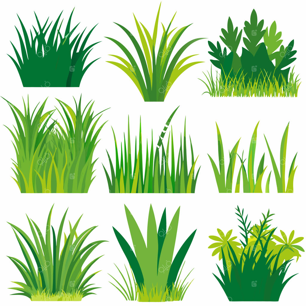 مجموعه چمن با سایه