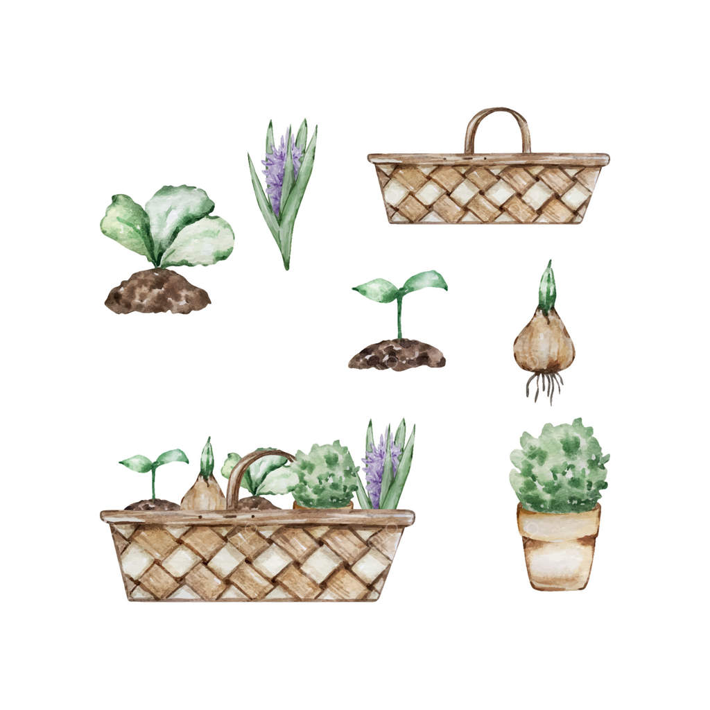 سبد آبرنگی با گل‌های باغچه‌ای