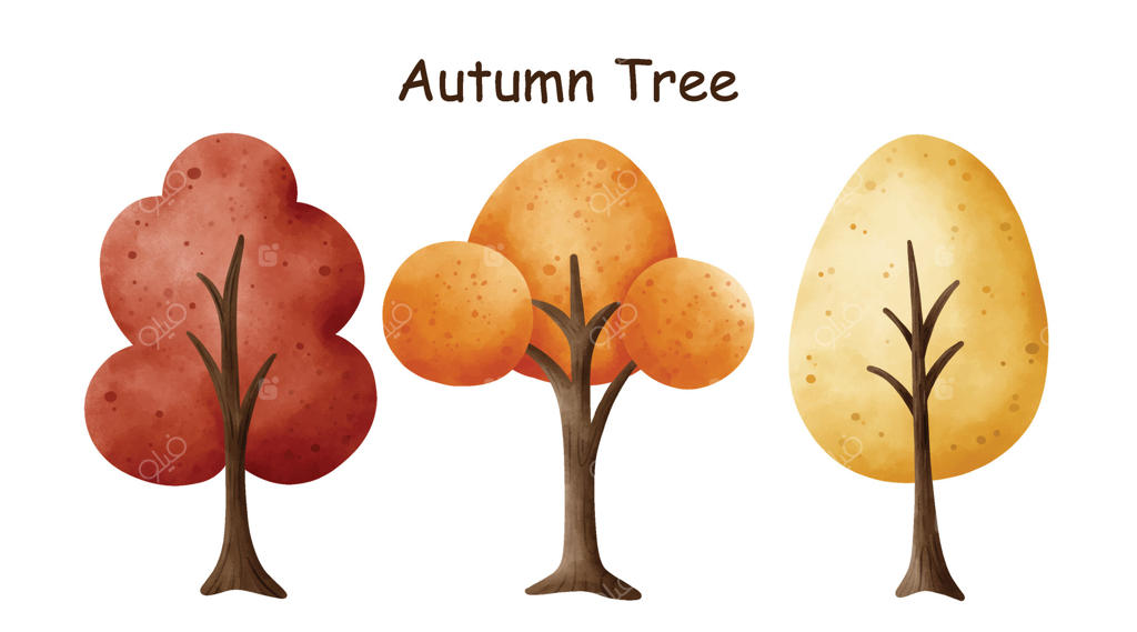 مجموعه‌ای از درختان قرمز، نارنجی و زرد در پاییز