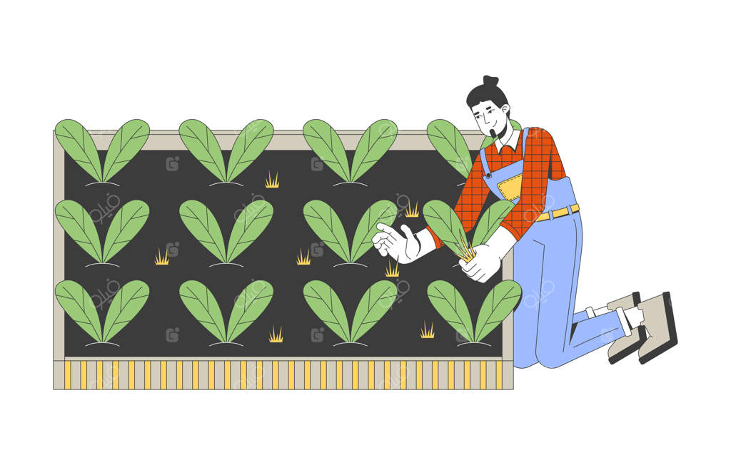 کشاورز مرد قفقازی در حال برداشت برگ‌های تازه اسفناج - شخصیت کارتونی دو بعدی رنگارنگ