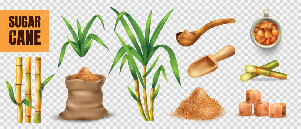 مجموعه شفاف نیشکر