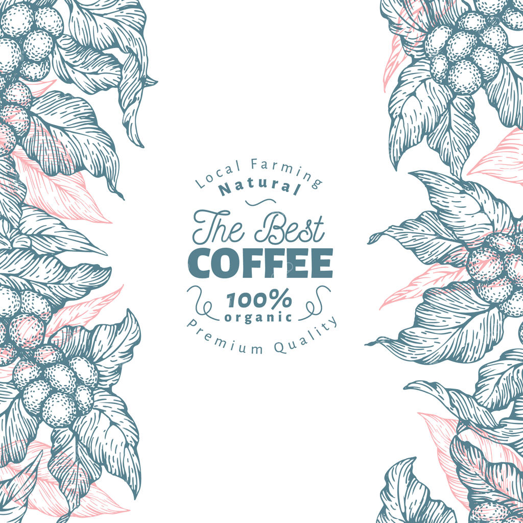 قالب بنر درخت قهوه. تصویرسازی وکتور. پس‌زمینه قهوه با سبک قدیمی.