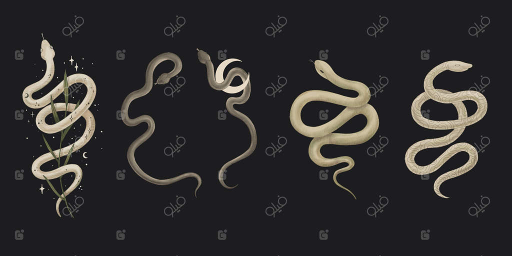 تصاویر عناصر جادویی جنگل: مار، شب‌پره، قارچ آمانیتا و عناصر فضایی