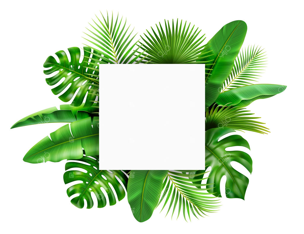 زمینه قاب با برگ‌های گرمسیری، فضای خالی