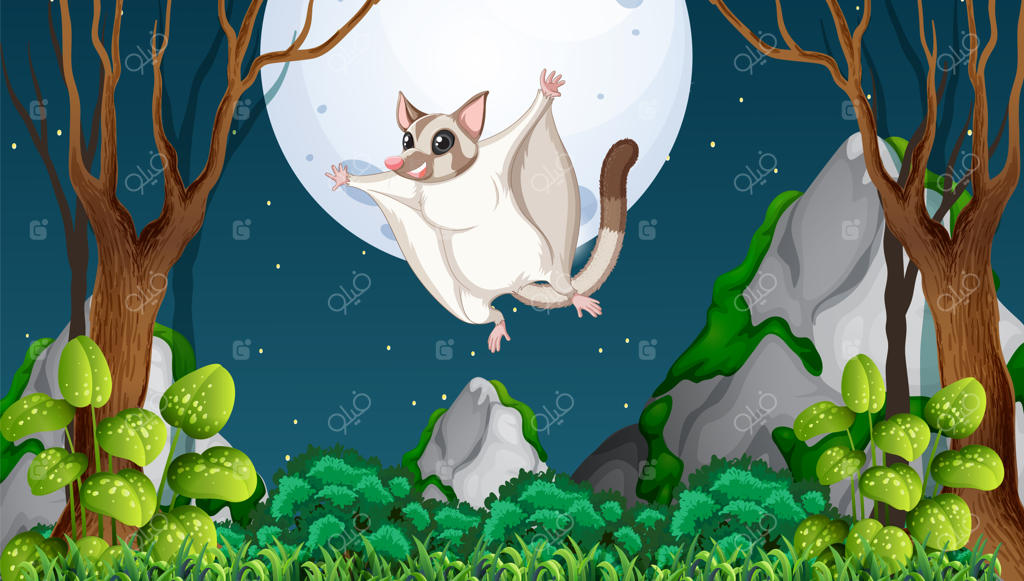 صحنه‌ای با شوگر گلایدر در جنگل