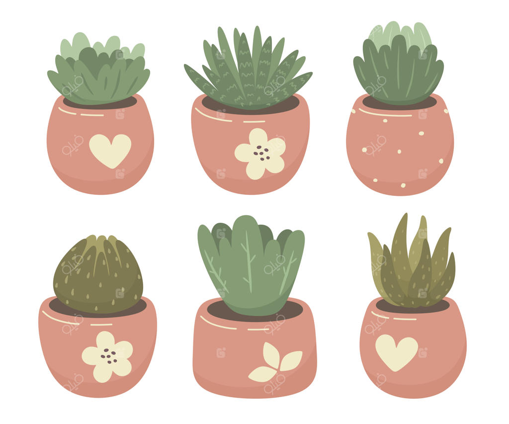 گل‌های آپارتمانی و ساکولنت‌ها.