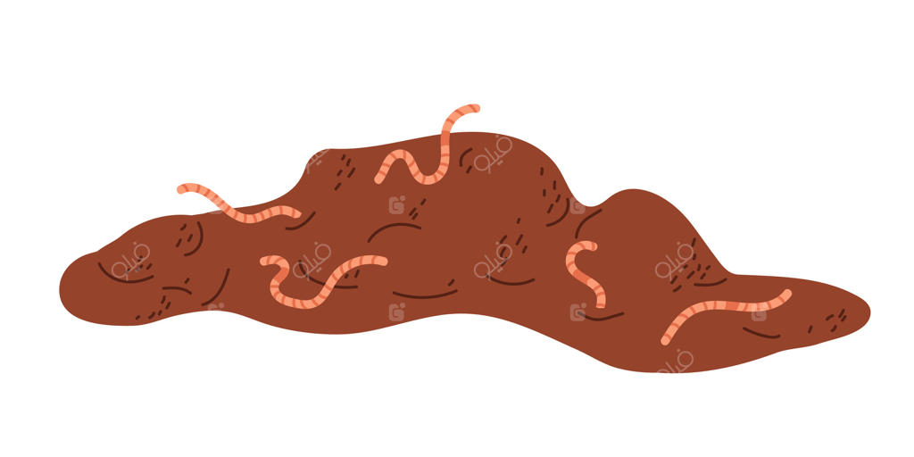 کرم‌های خاکی بر روی تپه‌ای از خاک غنی و تیره در باغی رنگارنگ خزیده‌اند