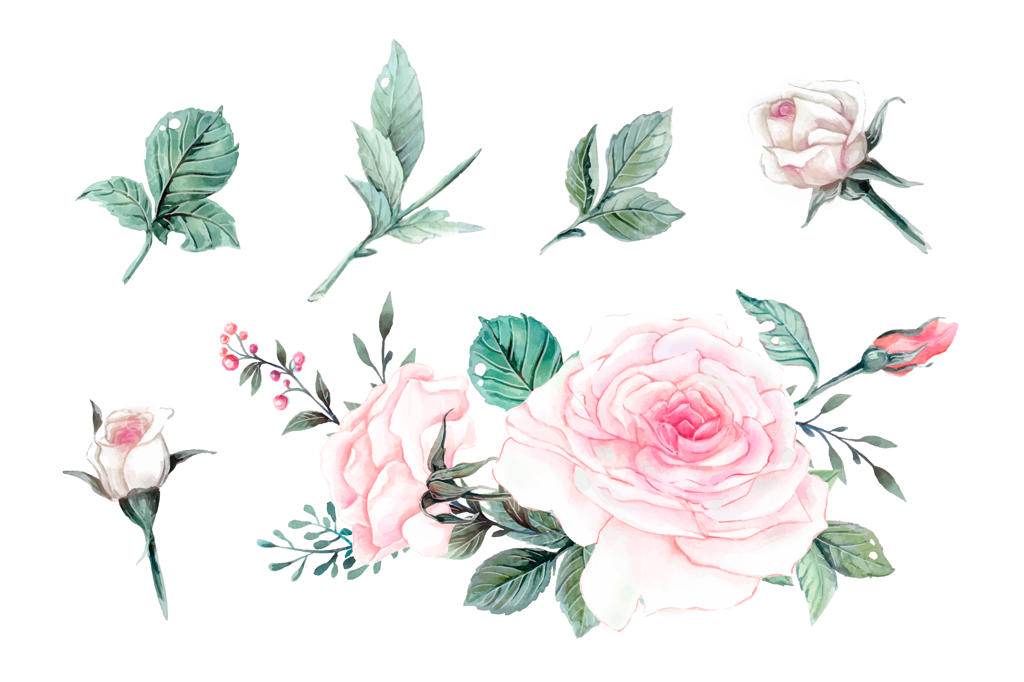 مجموعه طراحی وکتور گل‌های رز صورتی به سبک وینتیج.