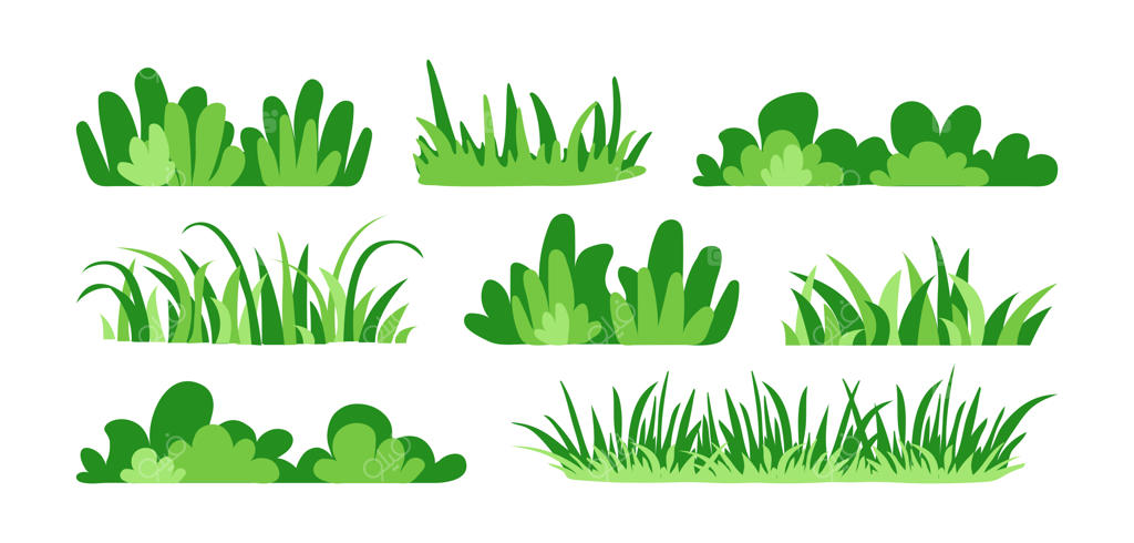 وکتور کارتونی چمن، بوته و برگ گیاهان در فضای سبز، پارک، باغ و جنگل