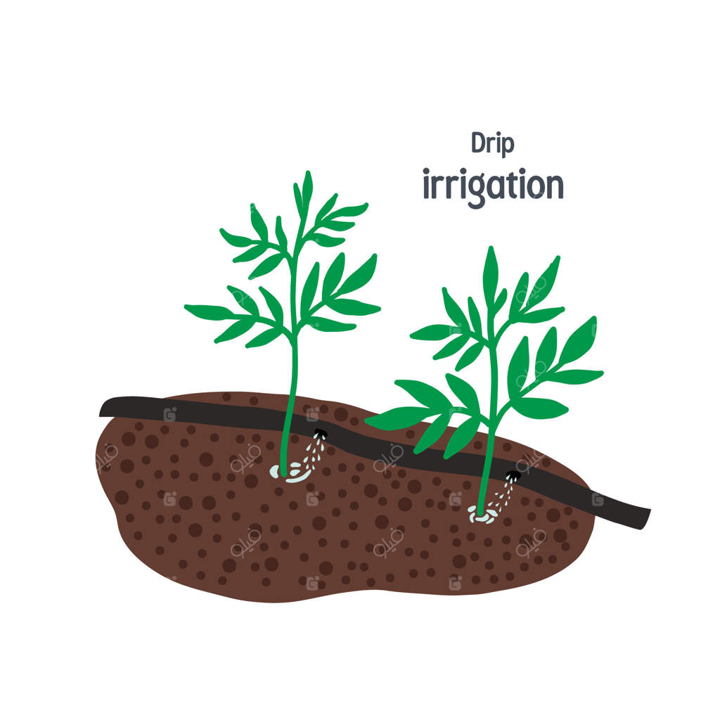 آبیاری قطره‌ای برای باغ - نمای جداشده روی پس‌زمینه سفید.