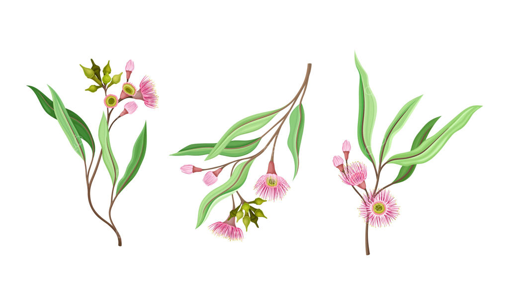 تصاویر خیره‌کننده گل‌ها برای عاشقان طبیعت - وکتور حرفه‌ای