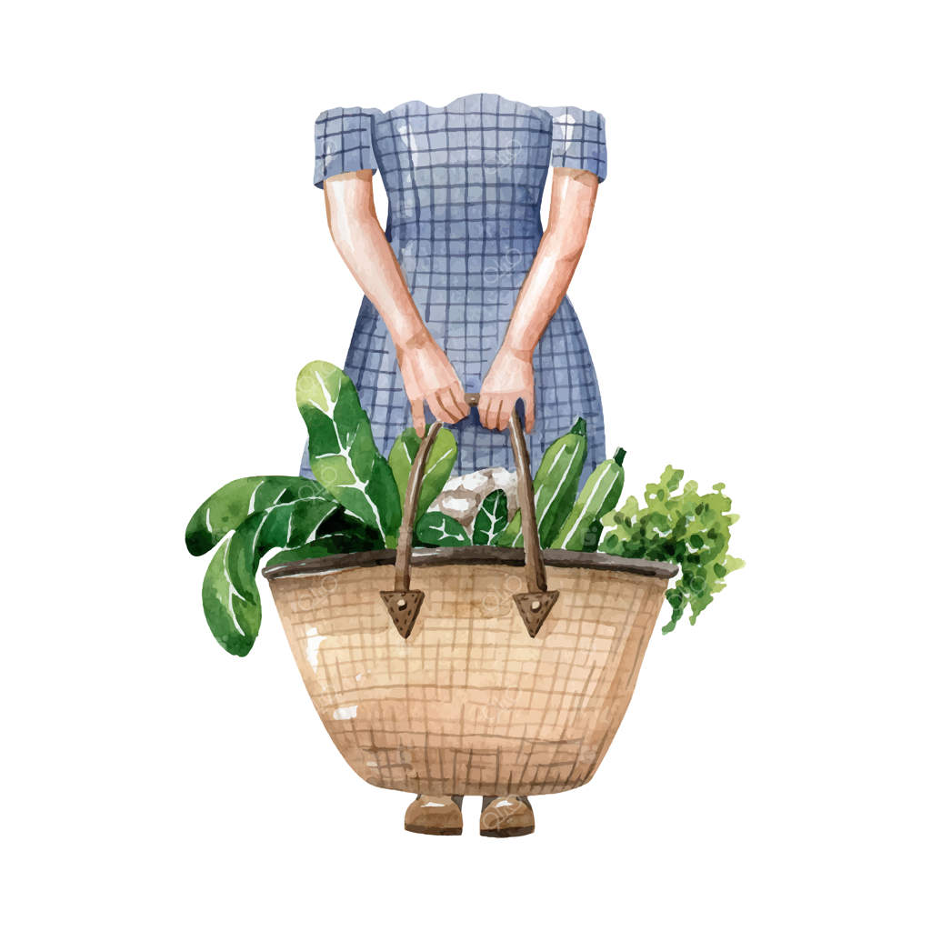 زنی با کیف بزرگ حاوی سبزیجات تازه، کلم، کدو و سالاد - تصویر وکتور