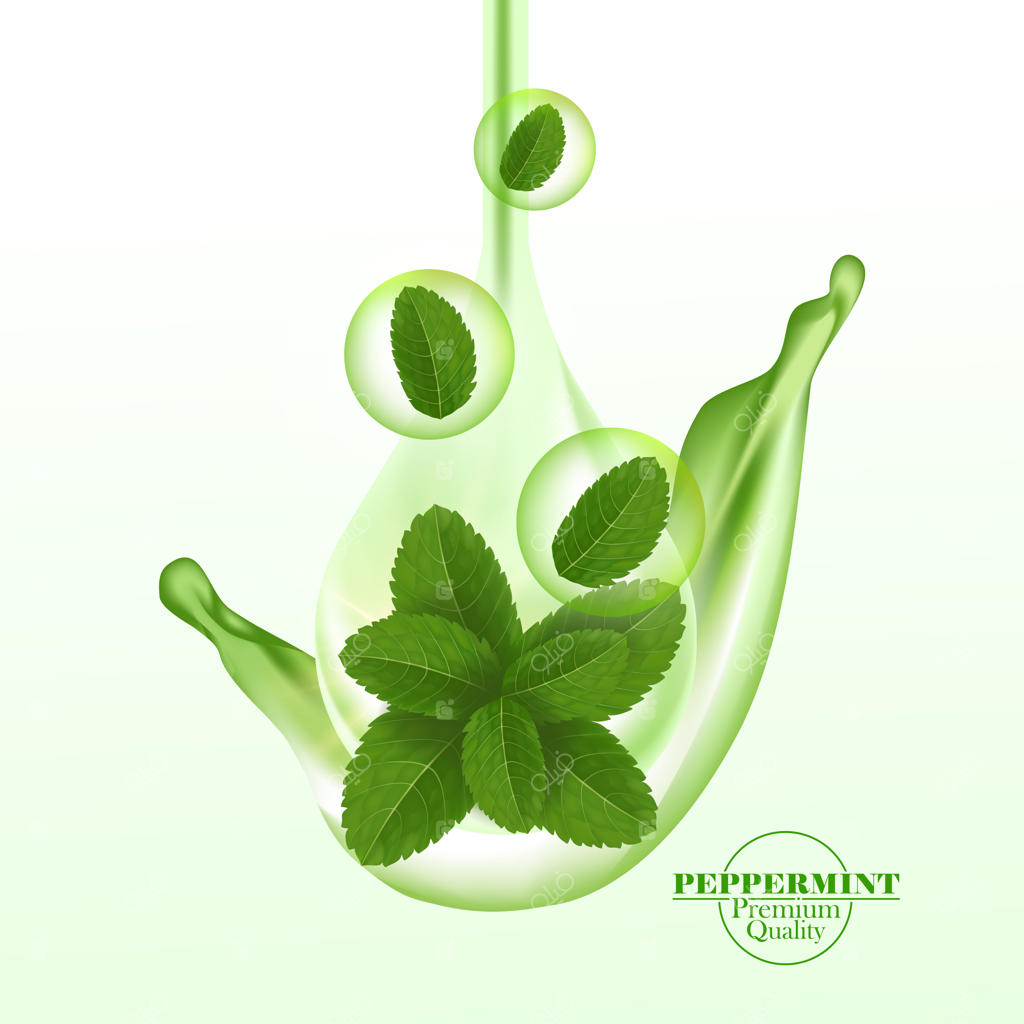 برگ نعناع تازه و سبز