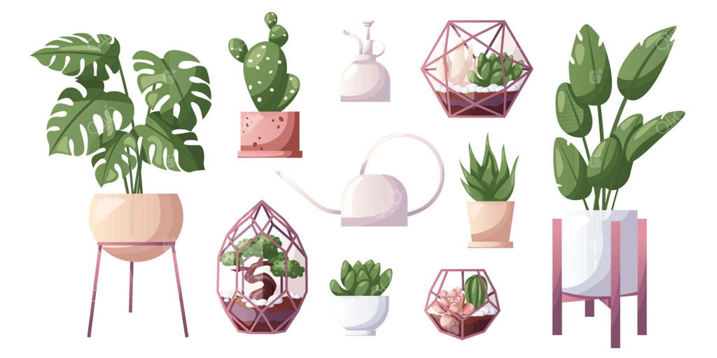 مجموعه گیاهان آپارتمانی، ساکولنت و نخل به همراه آبپاش و اسپری؛ گیاه گلدانی خانگی، باغچه منزل، گلخانه، تراریوم، باغبانی و دوستداران گل و گیاه؛ طرح مناسب برای پوستر و بنر فروشگاهی
