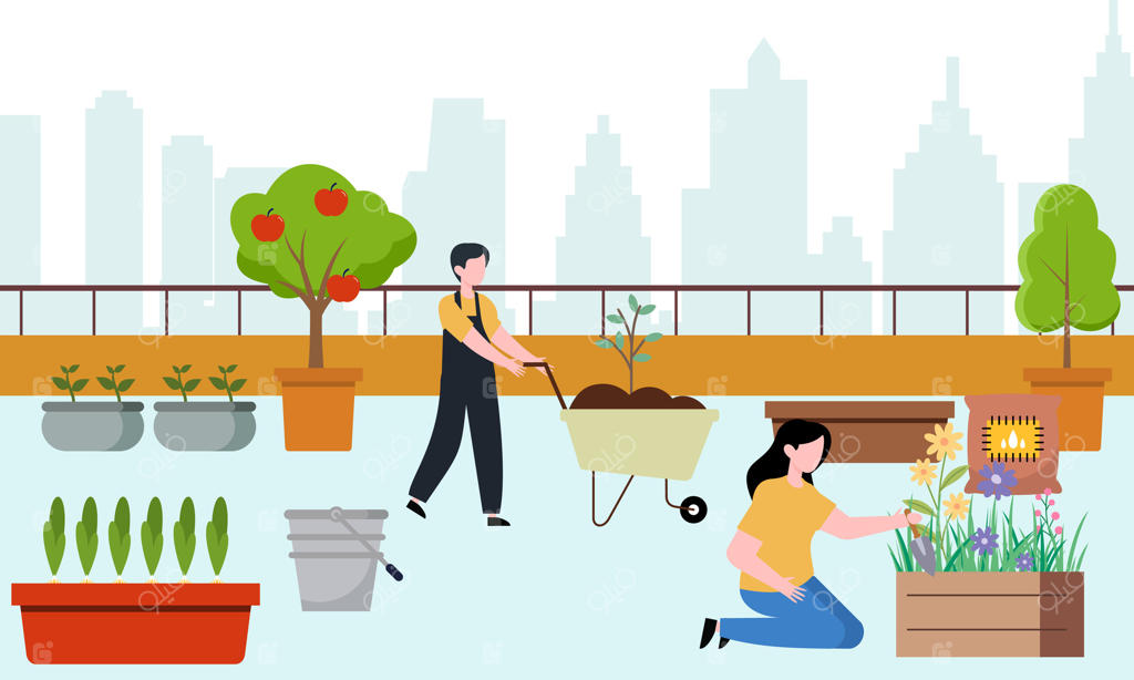 باغبانان و کشاورزان: طراحی مشترک بام سبز