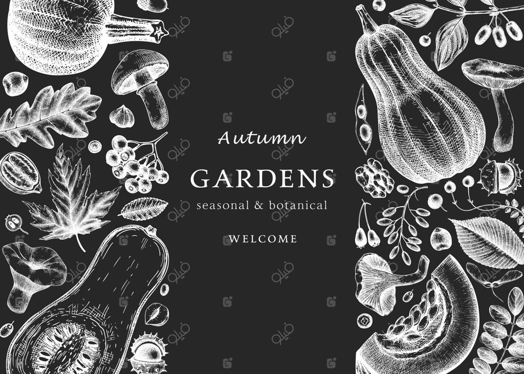 پاییز با دست روی تخته سیاه طراحی شده است. قالب گیاهی شیک و مدرن با برگ‌های پاییزی، کدو تنبل، توت‌ها و طرح‌های قارچ. ایده‌آل برای دعوتنامه‌ها، کارت‌ها، بروشورها، منوها و بسته‌بندی.