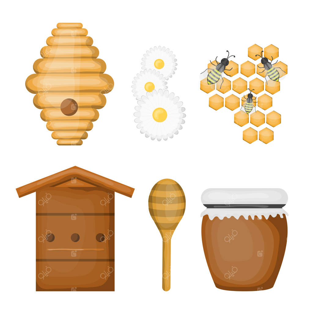 مجموعه کارتونی محصولات و تجهیزات مربوط به عسل در پس‌زمینه سفید.