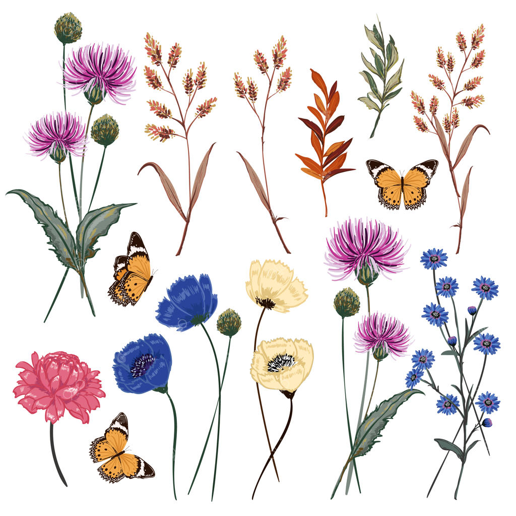 تصویرسازی برداری گل‌های چمنزار گیاهی