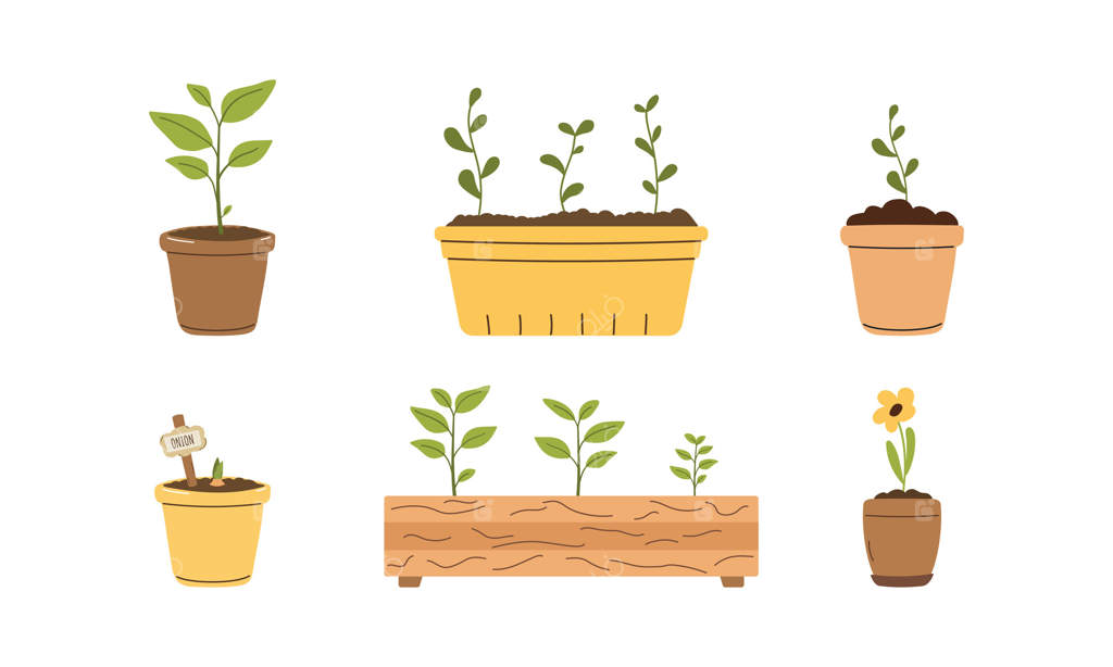 مجموعه‌ای از گیاهان بهاری رنگارنگ در گلدان‌ها. در پس‌زمینه سفید. عناصر گل و گیاه. سبزه در گلدان به سبک ساده.