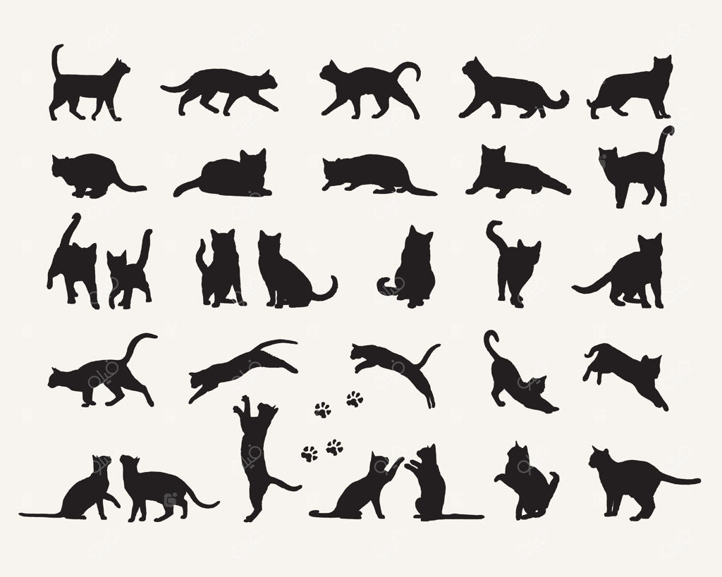 عکس سیاه و سفید گربه‌ها و توپ