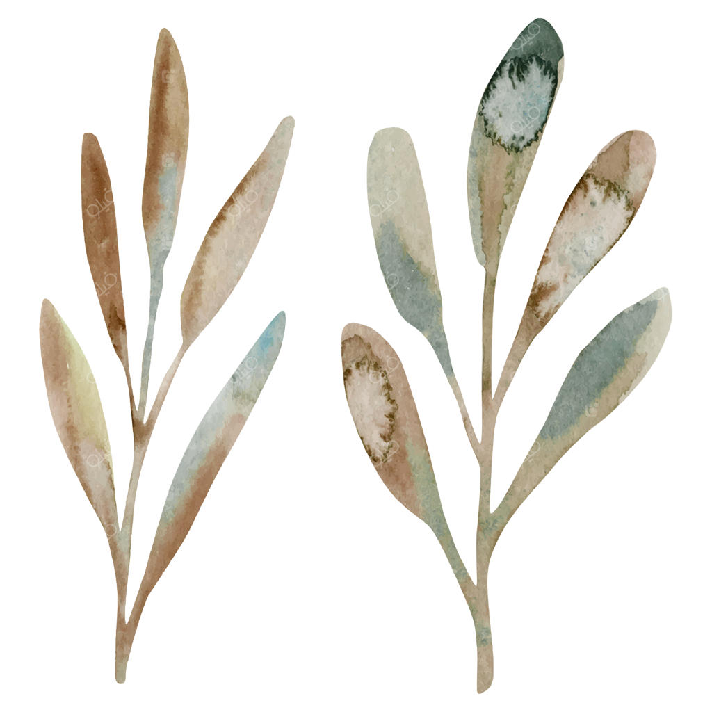 دسته‌ای از برگ‌ها