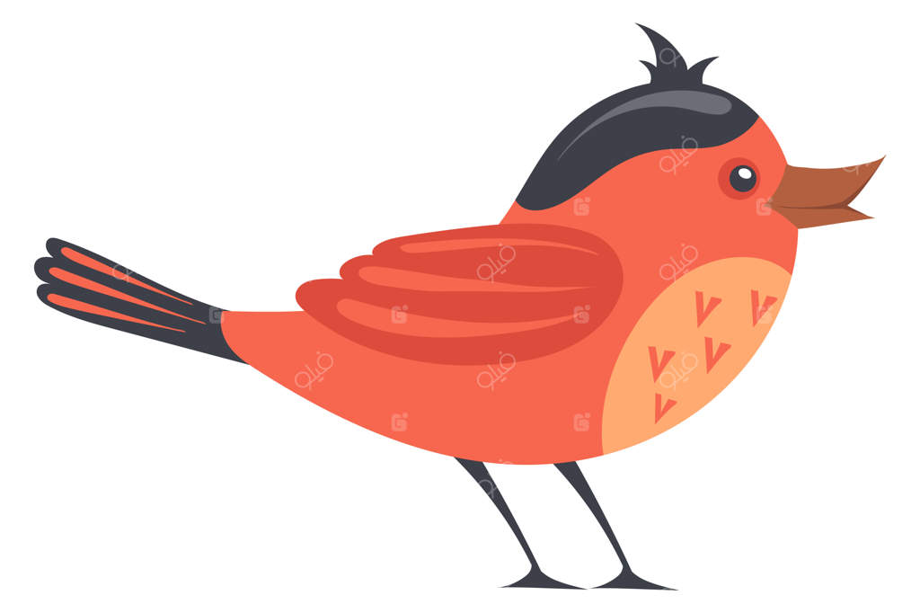 پرنده قرمز شخصیت بامزه با کاکل خنده‌دار